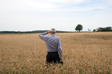 Businessman explore in the wheat field searching for the new opportunities