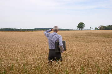 Naklejka na ściany i meble Businessman explore in the wheat field searching for the new opportunities
