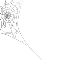 Vector Illustration of a Spiderweb on a White Background