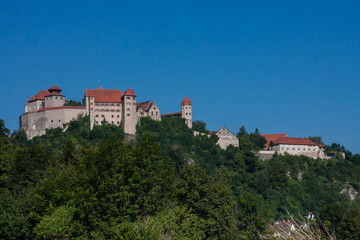Fototapeta na wymiar Historische Burg umgeben von Bäumen auf Berg