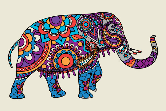 Indian ornate elephant hand drawn colored illistration. Vector illustration