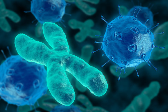 Bacteria invade the chromosome. 3D render virus attacks the chromosomes. Look under the microscope at the chromosomes