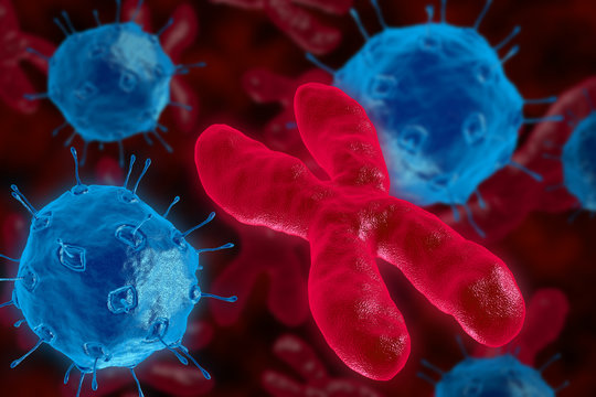 Bacteria invade the chromosome. 3D render virus attacks the chromosomes