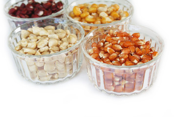 chicchi di mais di differenti colori su sfondo bianco