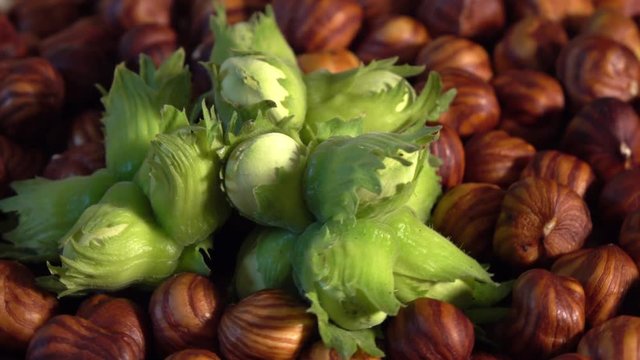 Rotation of hulled striped hazelnuts and heap of unripe green filbert nut. Close up of healthy vegetarian food. 4K UHD footage 3840x2160. Natural texture of organic background. 
