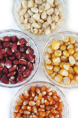 chicchi di mais di differenti colori su sfondo bianco