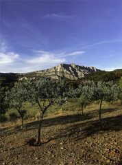 Fototapeta na wymiar Aix-en-Provence - la montagne Sainte-Victoire