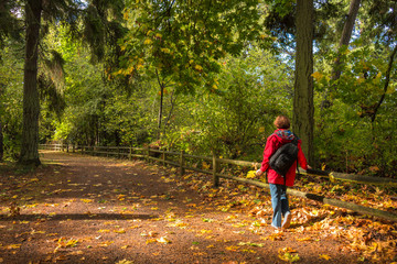Active Healthy Senior Woman Hiking in Autumn Forest. Park on Trail. Copy space.