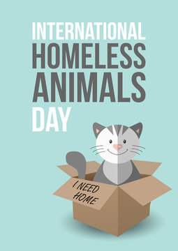 International homeless animals day. Cute cat in a box with I Need Home text. Pets adoption concept. Flyer, poster template. Vector illustration