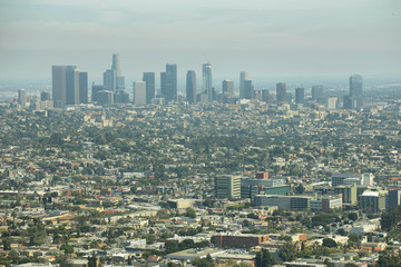 Fototapeta premium Downtown Los Angeles skyline