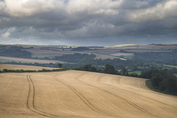 Fototapeta na wymiar Beautiful landscape image of huge agricultural field of barley o