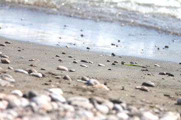 Wet pebble stones on the beach close up. Selective focus.