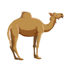Camel icon in cartoon style on a white background