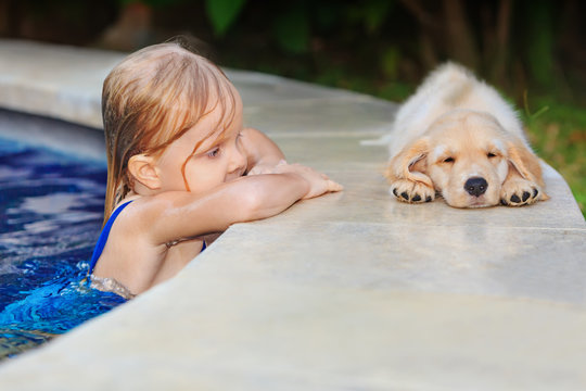 Funny photo of little baby swimming in blue outdoor pool look at lazy retriever puppy. Children water sports activity and swimming lessons, training dogs, fun games with family pet on summer vacation.