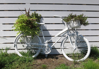 White Bike with Plants