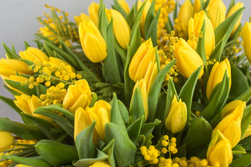 Bright spring bouquet of tulips and mimosa flowers