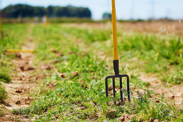 Pitchfork on a field