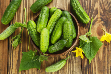 Organic fresh cucumbers