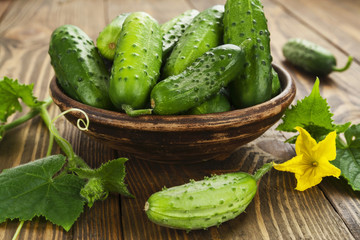 Organic fresh cucumbers