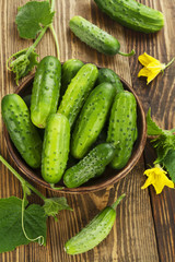 Organic fresh cucumbers