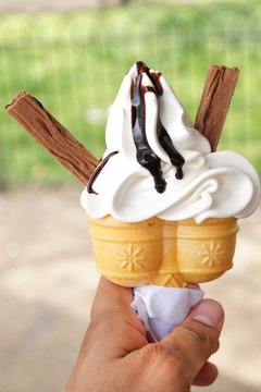 Life is like an ice cream, eat it before it melts!   A vanilla softy in s twin cone with two chocolate wafer sticks,