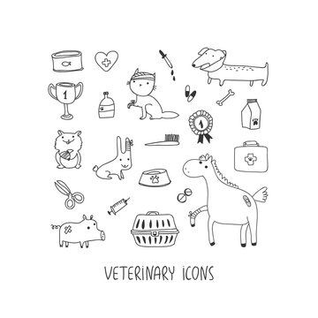 Veterinary hand drawn icon set