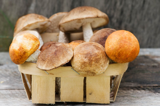 fresh mushrooms in a wicker basket close-up