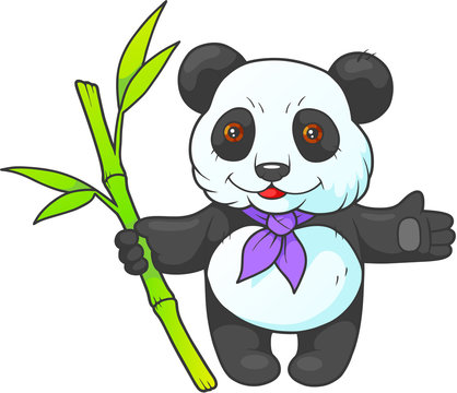 panda
