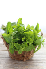 Fresh mint leafs on grey wooden table