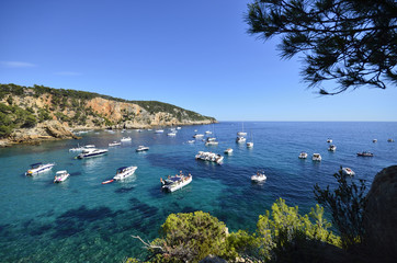 Les calanques