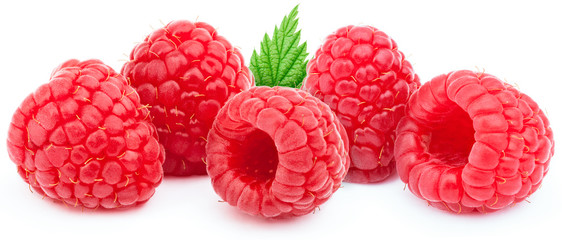Five ripe raspberries in a line with green leaf isolated on white background with clipping path
