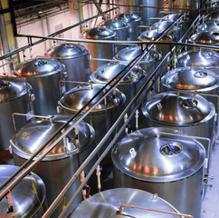 Tanks of stainless steel for the fermentation beer.