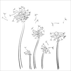 Decorative Black Hand Sketched Rustic Flora, Branches,  Design Elements. Hand Drawing Vector Illustration.