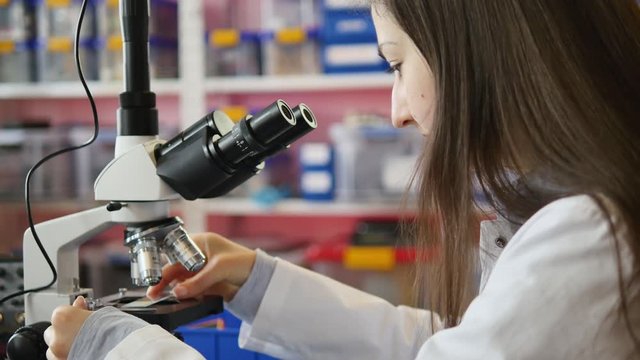 Technician work in biological laboratory with mocroscope