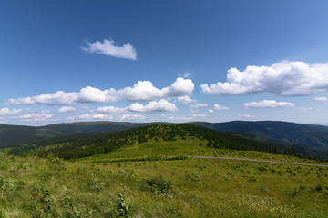 Fototapeta premium Jeseniky mountains in nice summer day