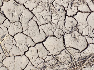 Dry cracked ground on field