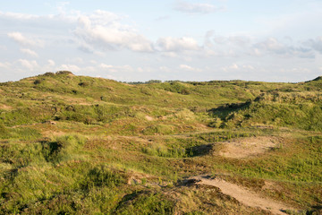 D&uuml;nengebiet Berkheide in den Niederlanden