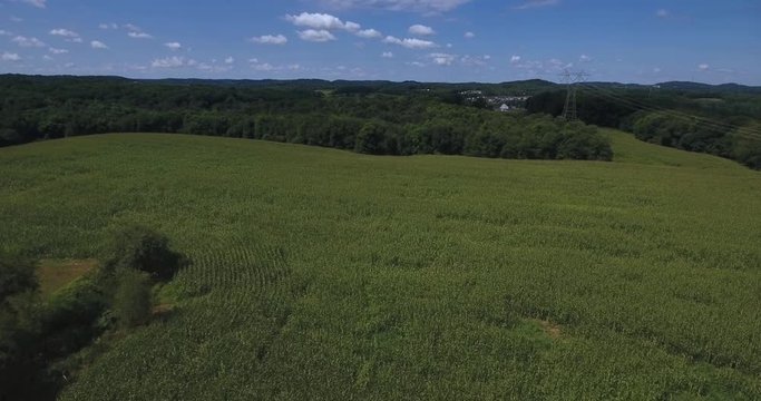 A high, slow forward moving aerial flyover of large corn fields in Western Pennsylvania.	