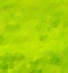 Fototapeta na wymiar Green grass abstract mosaic low polygon backrgound