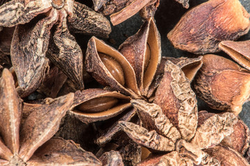 Star Anise Seeds in Pod