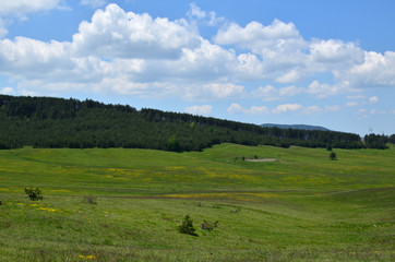 Fototapeta premium Landscape of meadows and coniferous forest on Zlatibor Mountain in Serbia, on sunny spring day