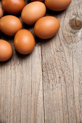 eggs