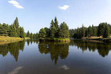 Mountain lake with pine tree forest