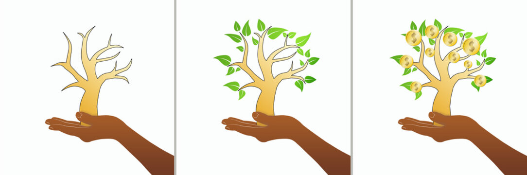 Money tree concept