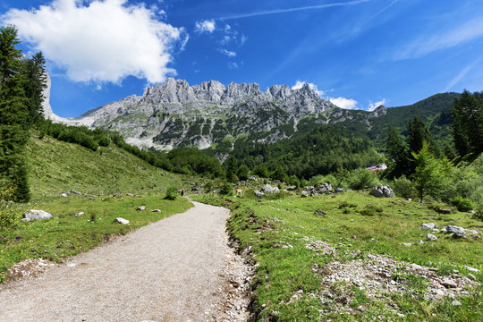 Path through summer mountain landscape. View of Wilder Kaiser, Austria, Tyrol