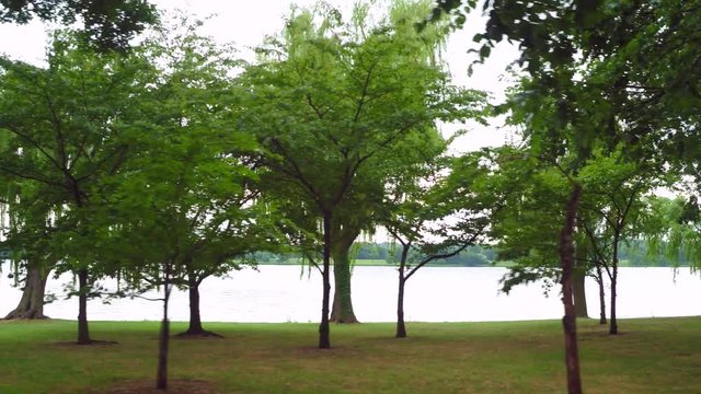 Stock footage of the Potomac Park in Washington DC, USA