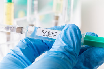 rabies vaccination - obrazy, fototapety, plakaty