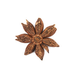 Chinese star anise seed isolated