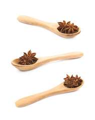 Chinese star anise seed isolated