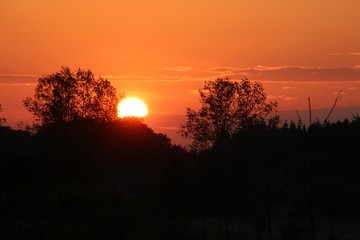 Nice colored sunset on a meadow